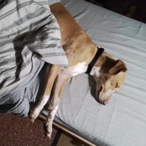 331946950 761352602002494 271840240649456806 n