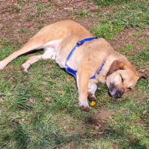 332001377 2175701622602538 6710319574171987096 n