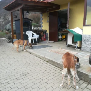 332099815 1359314138188831 6000107372800845865 n