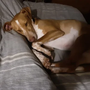 332246193 715260156994734 7505800091085334407 n