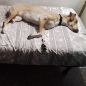 332291604 226640633258169 5291074309317354910 n