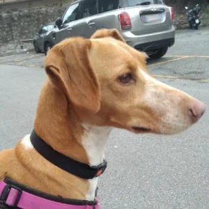 332995074 3707652819520244 269658545700636946 n