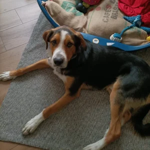 335985864 553598150084280 8363142443840459648 n