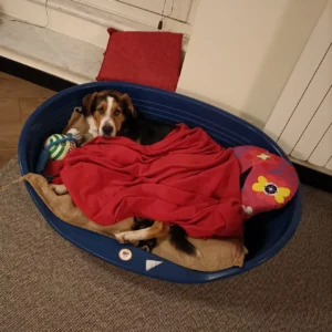 336643271 926498921709591 6875298827669919700 n