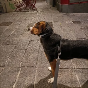 336647565 580369874153079 4428164076476759625 n