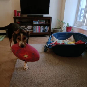 336647791 234323162369108 3376997538869468967 n