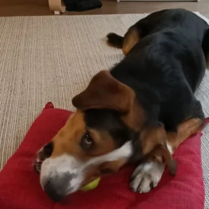 336649179 994369788201600 9032998659781262828 n