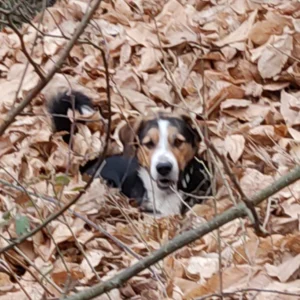 336662643 1905722706453695 2875341353718781457 n