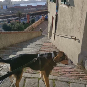 336682538 3536949563250532 3604541235106911652 n