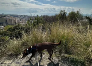 337262503 602165658471817 8712972741066065604 n