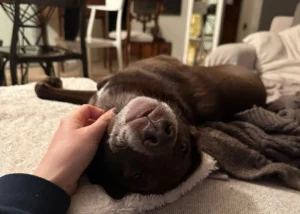 337693816 528363202794280 7868078467924112 n