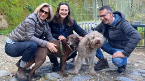 337693816 528363202794280 7868089078467924112 n