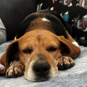 340840162 717103260100932 6966530580589261956 n