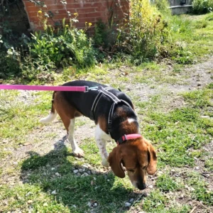 340842269 765343465102556 1388357377594073989 n