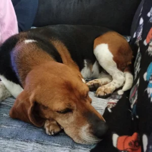 340912952 753861706391640 4684536257003442655 n