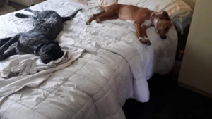 345603491 771479324561989 7768356477907387752 n