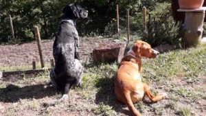 345607372 977926100012974 3781166730428489944 n