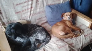 345611964 632568908777887 2652420469049758691 n