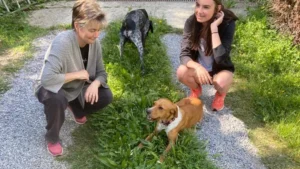 345612769 789231179089621 1205559674276871497 n