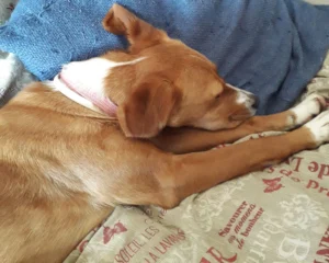 345617322 271192768801870 2051310002467241733 n