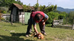 345624856 1605098866631037 4167913212641024814 n