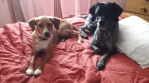 345625886 567629198827109 3264206409680185800 n