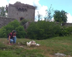 347223536 759963062263629 6040981228210673528 n