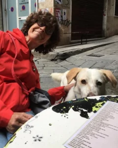 347240391 194171173077639 3668224961521202112 n