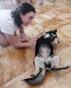 347249513 659538349551099 6097798607976472265 n