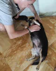 347259999 659538509551083 5066661477901147501 n