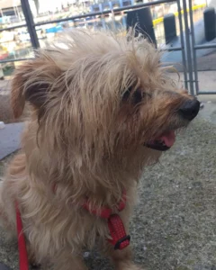 347387473 656575243180743 3263932388647457870 n