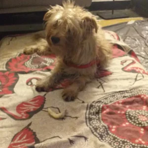 347390678 656575179847416 7108110271430623918 n