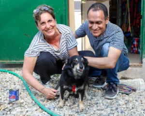 347397279 659538242884443 30641090339986322 n