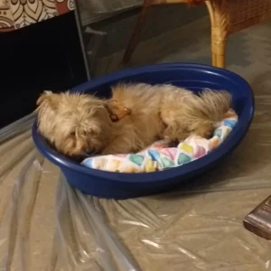 347409257 656575116514089 8758788785576099152 n