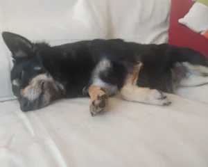 347411291 659538392884428 8141657992581148435 n