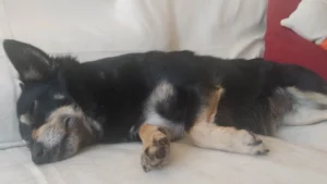 347411291 659538392884428 8141657992588435 n