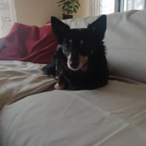 347414406 659538409551093 5318667782166369312 n