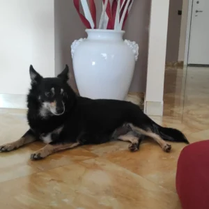 347427389 659538426217758 6558761776985715038 n