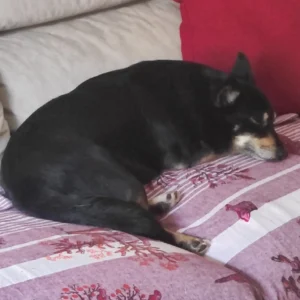 347448363 659538459551088 2990432355701445132 n