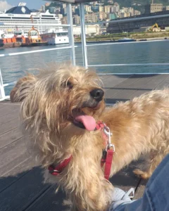 347553950 656575056514095 8254239079063089344 n