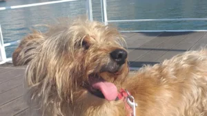 347553950 656575056514095 84239079063089344 n