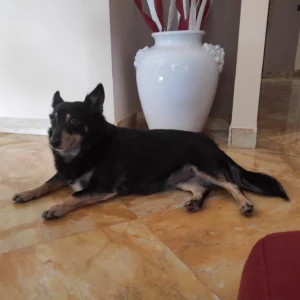 347559460 659538636217737 1188173874893973623 n