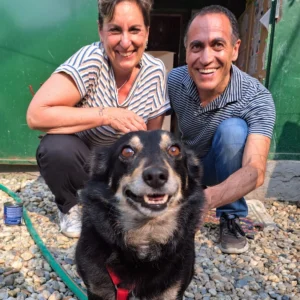 347563019 659538119551122 7462526326726511055 n