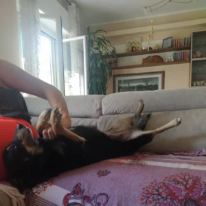 347580739 659538319551102 7950488774308632710