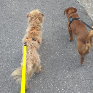 347593523 656575103180757 9030049268780806912 n