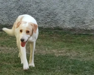 365974623 693263092845291 2710577842018296914 n