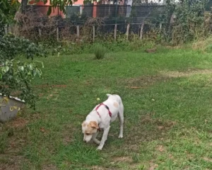 365979246 693263216178612 7504525124594886601 n