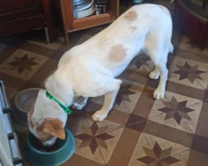 366017618 693263119511955 997280593713246804 n