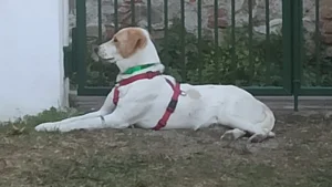 366020864 693263649511902 6242096931817265760 n