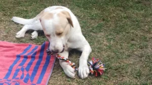 366040968 693263502845250 1362150086901974124 n